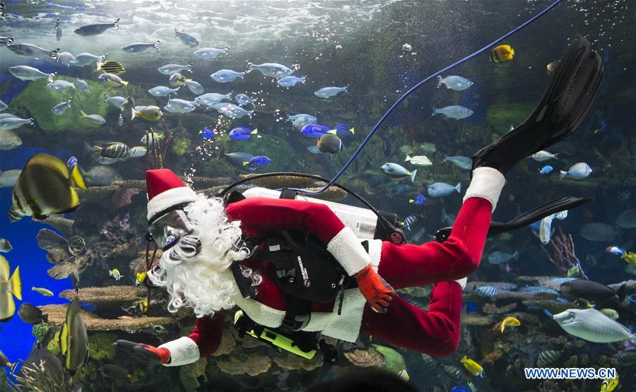 CANADA-TORONTO-AQUARIUM-SANTA CLAUS