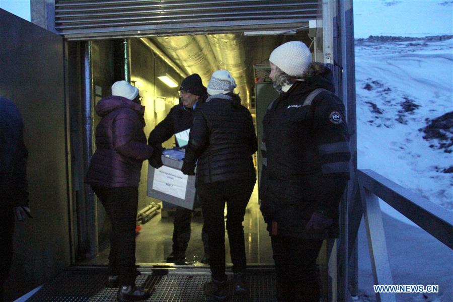 NORWAY-LONGYEARBYEN-SEED SAMPLES