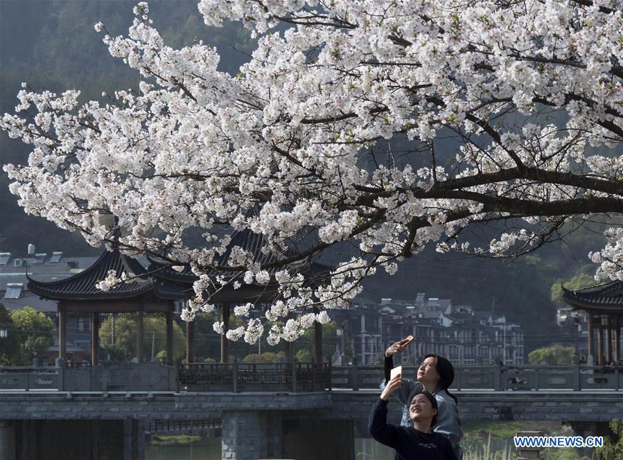 #CHINA-SPRING-SCENERY (CN)