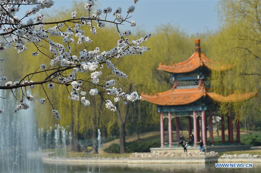 CHINA-SHANXI-ALMOND BLOSSOM-TOURISM (CN)