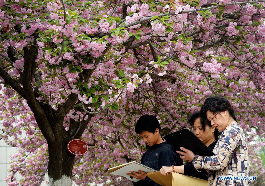 CHINA-XI'AN-SPRING (CN)