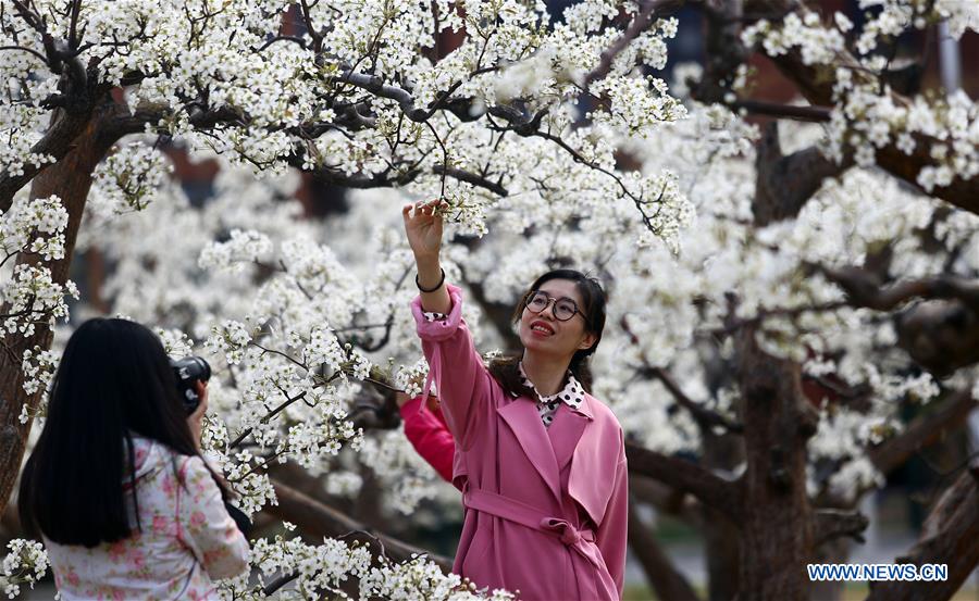 #CHINA-TIANJIN-SPRING GARDEN PARTY (CN)