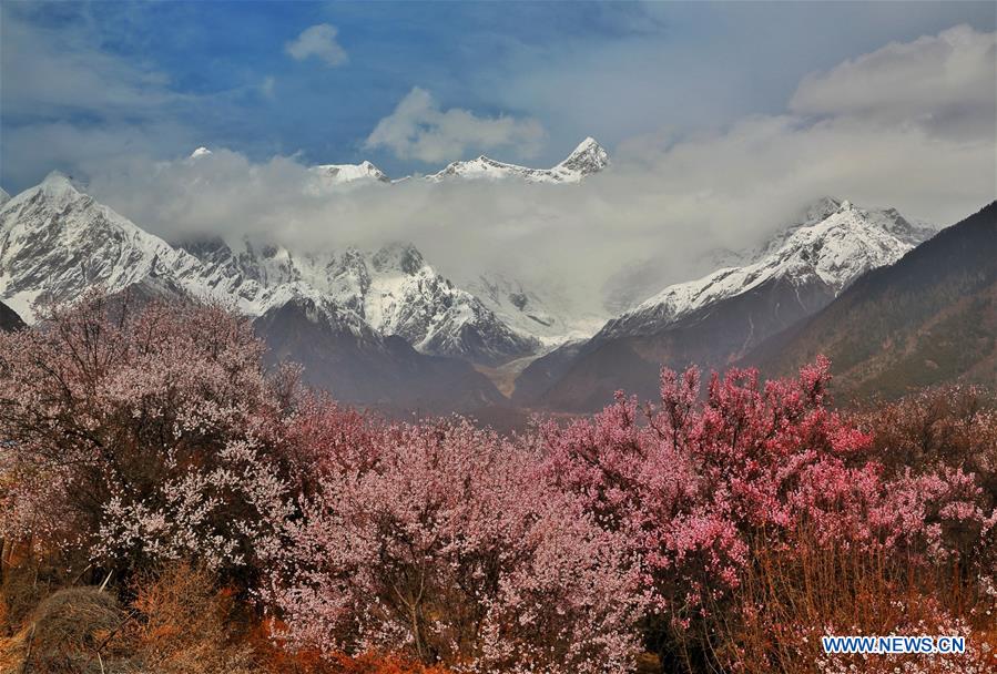 #CHINA-TIBET-SCENERY (CN)