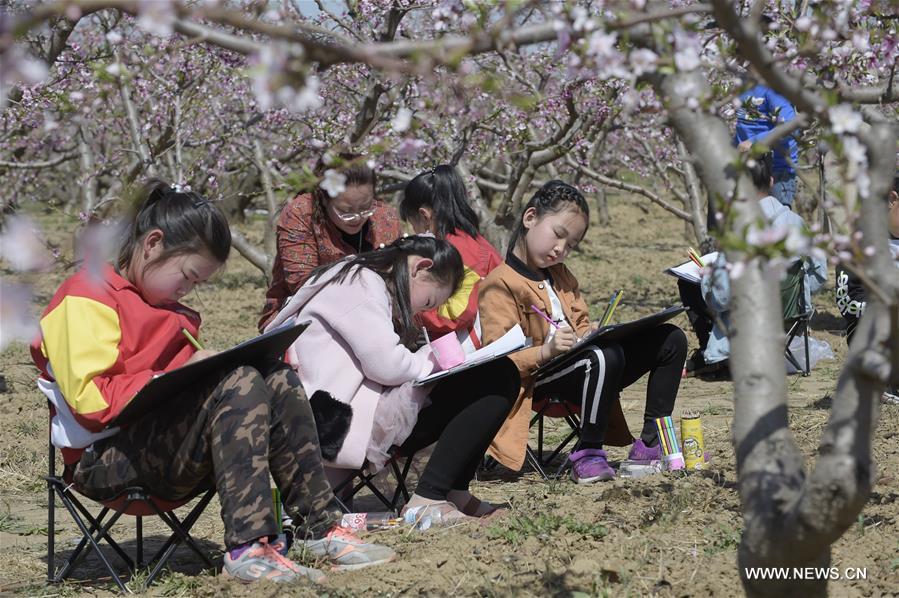 CHINA-HEBEI-PEACH FIELD-ART LESSON (CN)