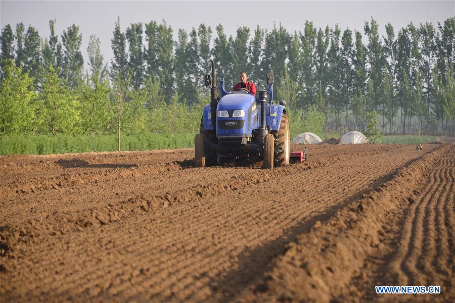 #CHINA-GUYU-FARM WORK(CN)