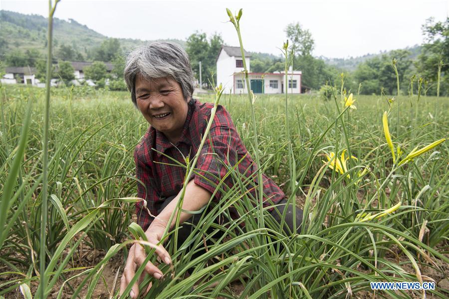 CHINA-SHAANXI-POVERTY ALLEVIATION-EFFORTS (CN)