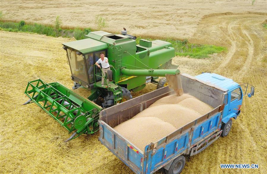 #CHINA-AGRICULTURE-WHEAT HARVEST (CN)