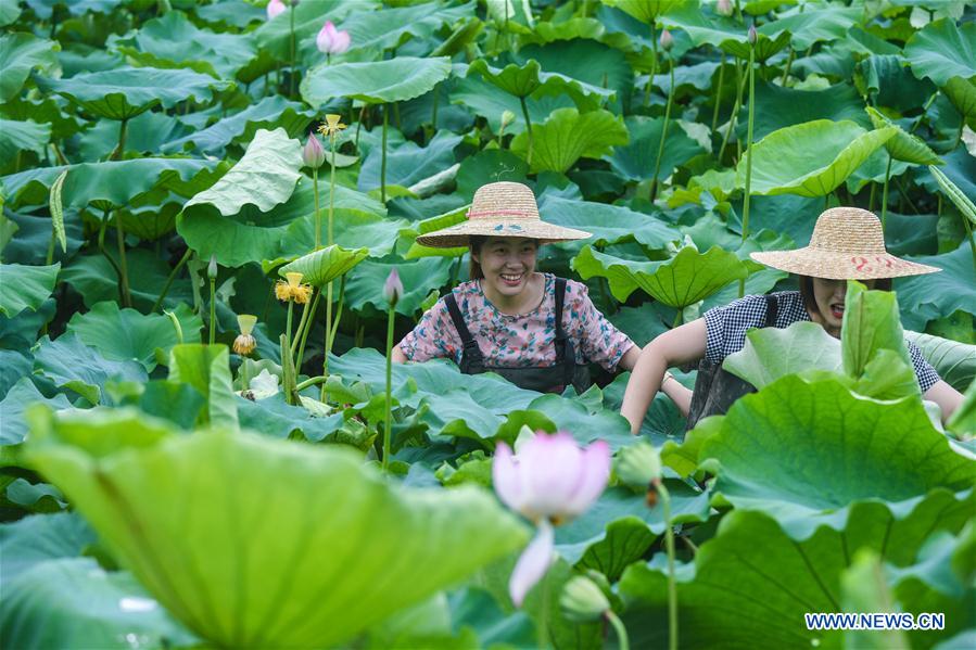 CHINA-ZHEJIANG-HUZHOU-RURAL TOURISM (CN)