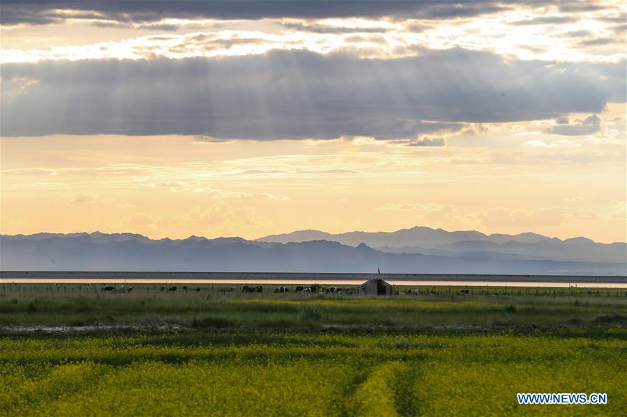 #CHINA-XINJIANG-GAOJIAHU WETLAND-SCENERY (CN*)