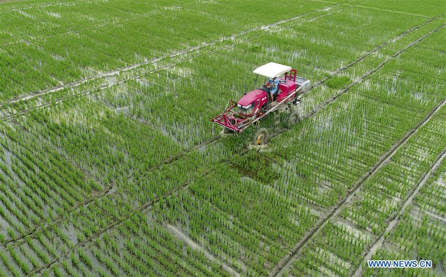 #CHINA-LESSER HEAT-FARMING (CN)