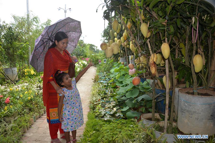 BANGLADESH-DHAKA-TREE-PLANTING-CAMPAIGN