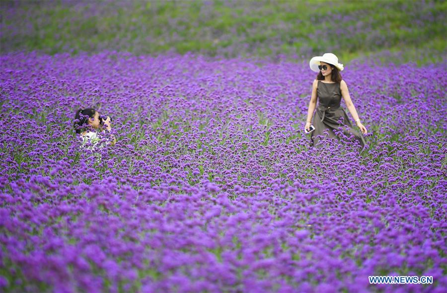 #CHINA-GUIZHOU-TONGZI-TOURISM (CN)