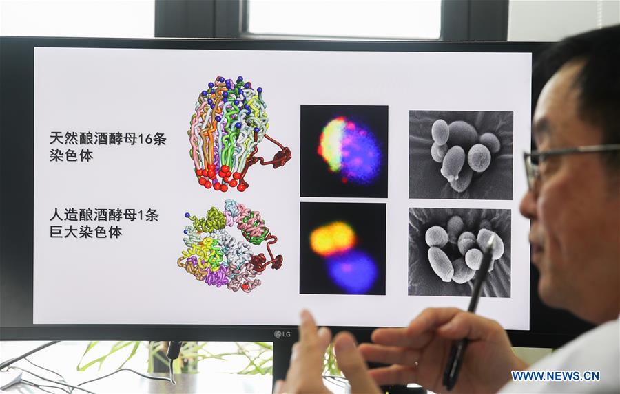 CHINA-SHANGHAI-GENOME-EDITING-SINGLE CHROMOSOME (CN)