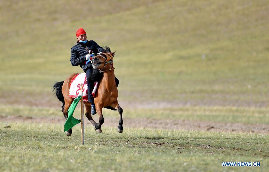 CHINA-ALI-HORSE RIDING (CN)