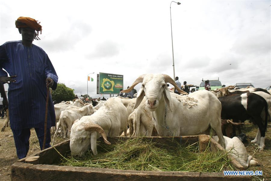 COTE D'IVOIRE-ABIDJAN-EID AL-ADHA-PREPARATION