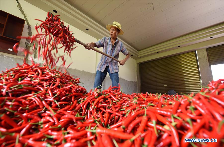 #CHINA-END OF SUMMER-AGRICULTURE(CN)