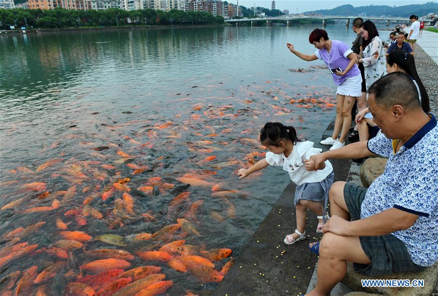 CHINA-FUJIAN-RIVER-FISH (CN)