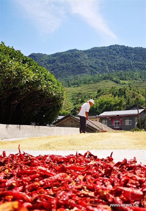 #CHINA-HUNAN-AUTUMN-HARVEST (CN)