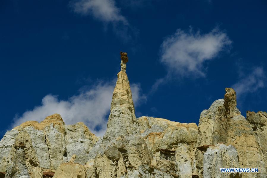 CHINA-TIBET-ALI-SCENERY-EARTH FOREST (CN)