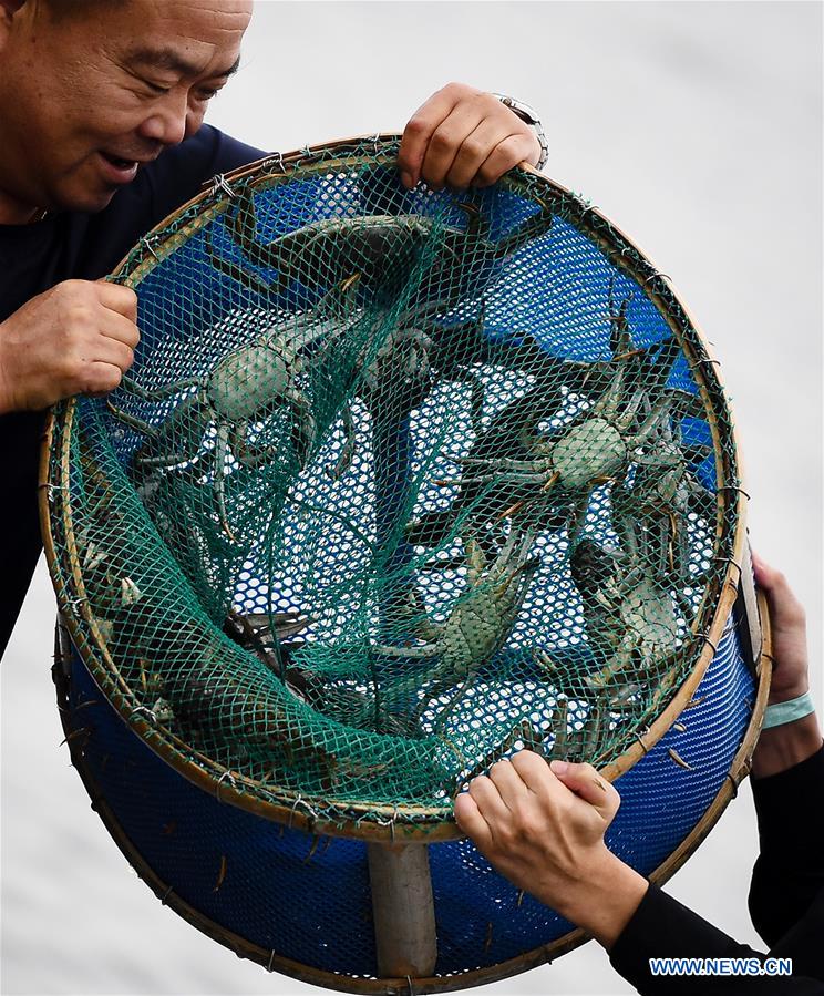 CHINA-JIANGSU-CRAB-HARVEST (CN)