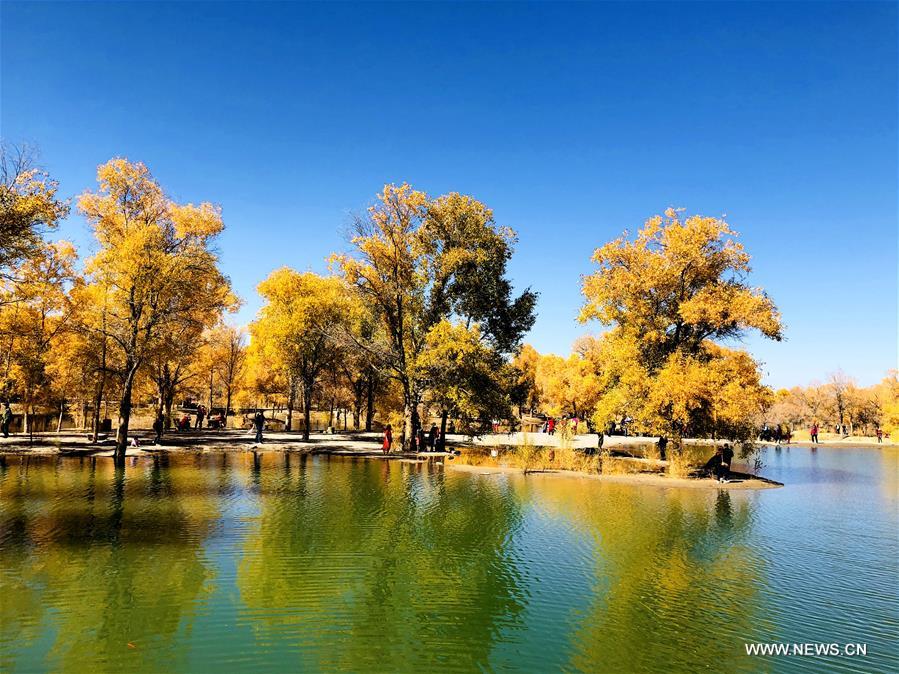 #CHINA-JIUQUAN-POPULUS EUPHRATICA-AUTUMN SCENERY (CN)