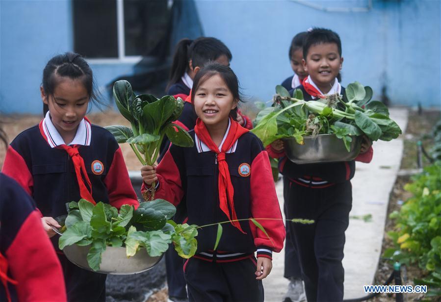 CHINA-ZHEJIANG-HUZHOU-CAMPUS PLANTATION-HARVEST(CN)