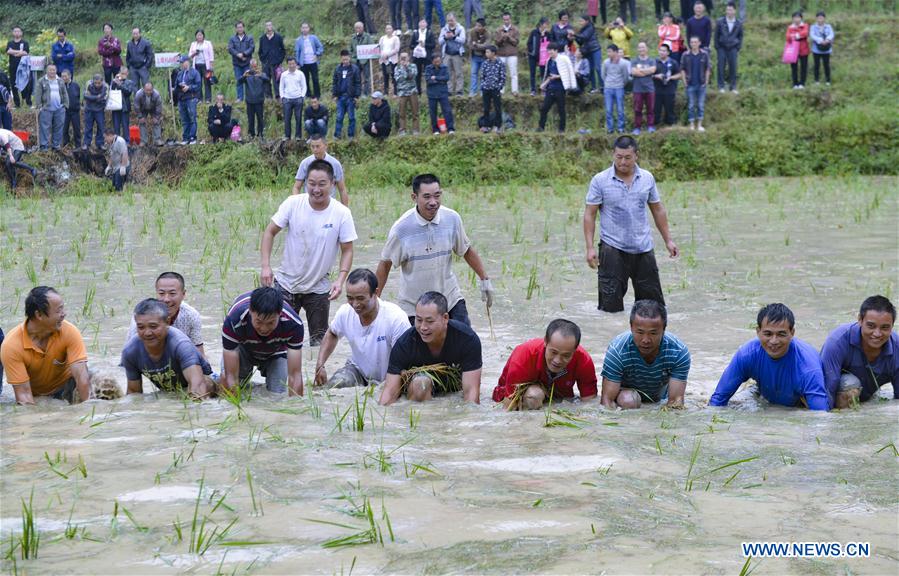 #CHINA-GUANGXI-HARVEST-FESTIVAL (CN)