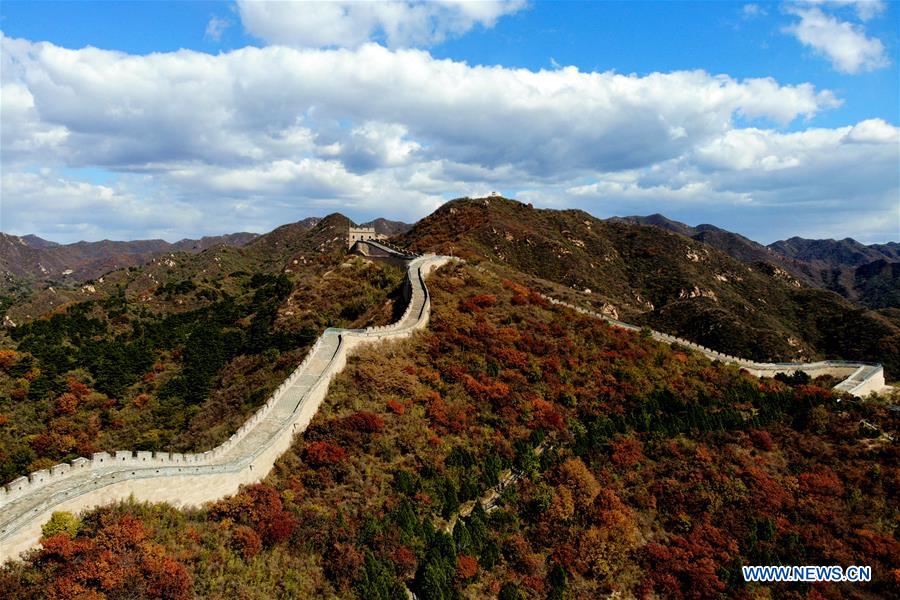 #CHINA-BEIJING-GREAT WALL-RED LEAVES(CN)