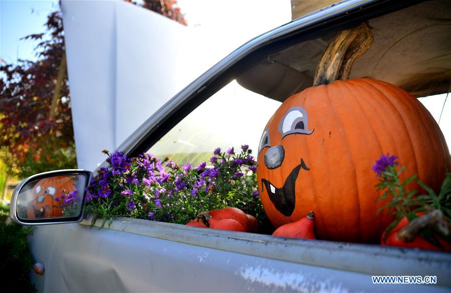 SLOVENIA-LJUBLJANA-FUNNY PUMPKIN EXHIBITION