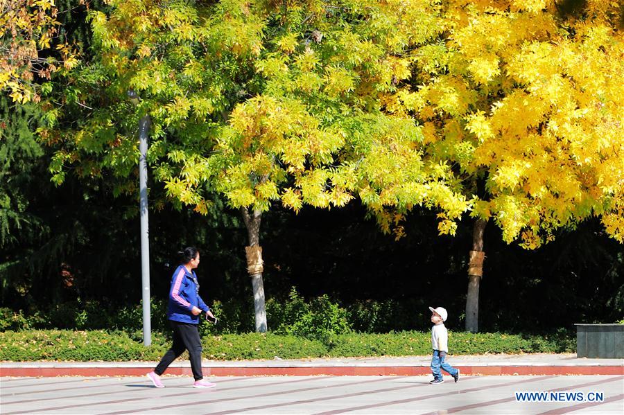 #CHINA-AUTUMN SCENERY (CN)