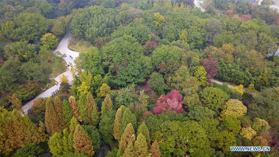 #CHINA-JIANGSU-YANGZHOU-SLENDER WEST LAKE (CN)