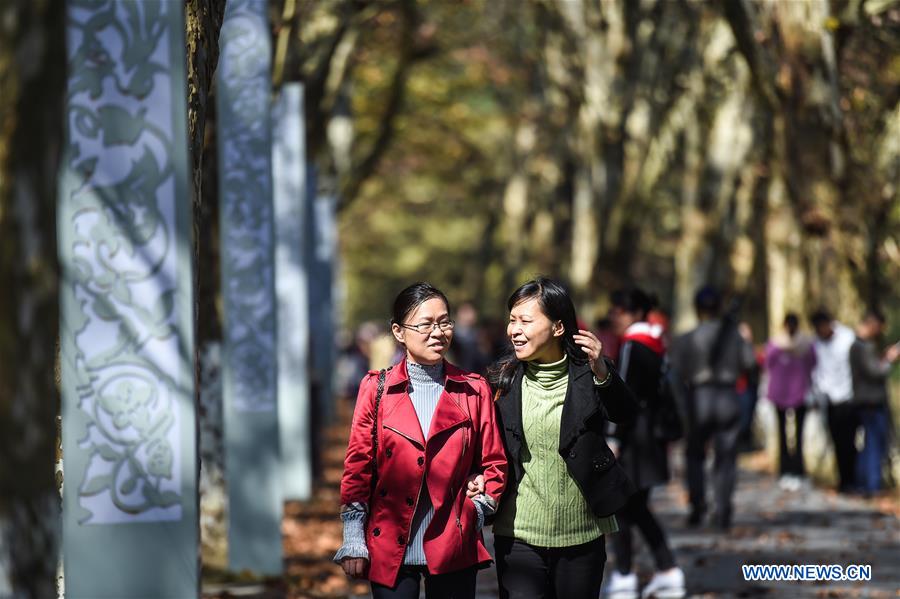 CHINA-GUIZHOU-GUIYANG-WETLAND PARK-AUTUMN SCENERY (CN)