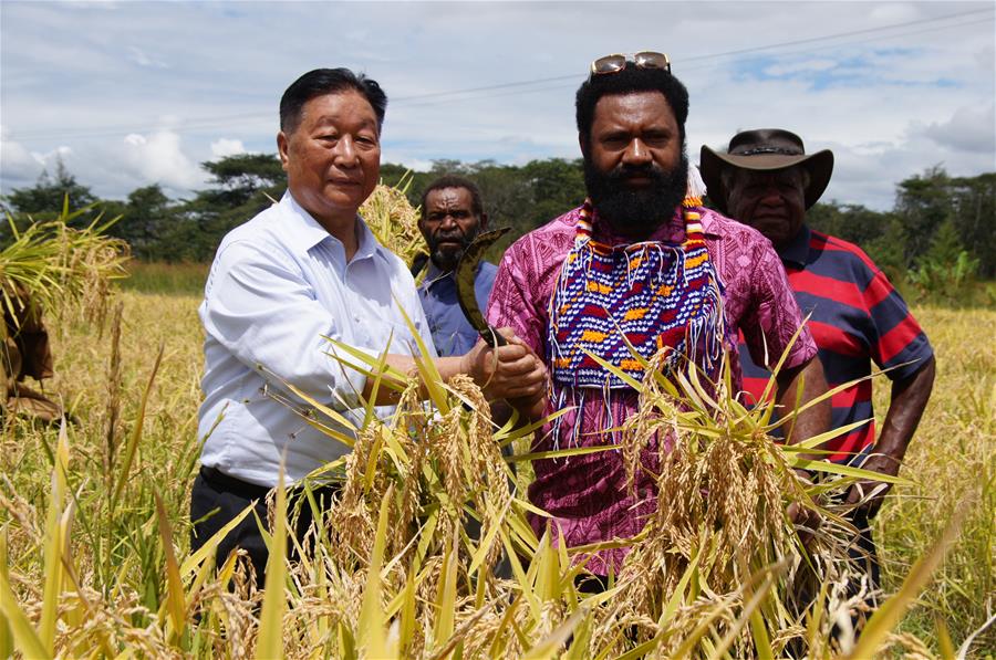 Xinhua Headlines: China shares benefits of "miracle" grass with world