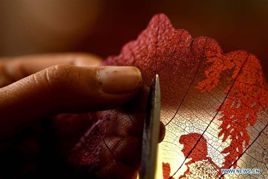 #CHINA-HEBEI-SHIJIAZHUANG-LEAF CARVING (CN)