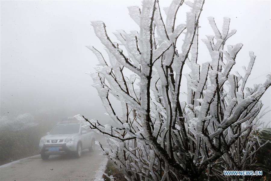 #CHINA-CHONGQING-RIME (CN)