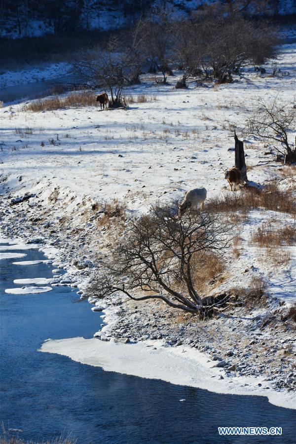 CHINA-INNER MONGOLIA-ARXAN-HALHA RIVER (CN)