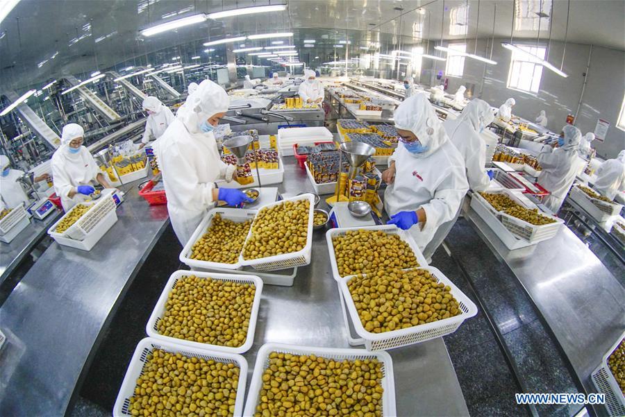 #CHINA-HEBEI-CHESTNUT FACTORY (CN)