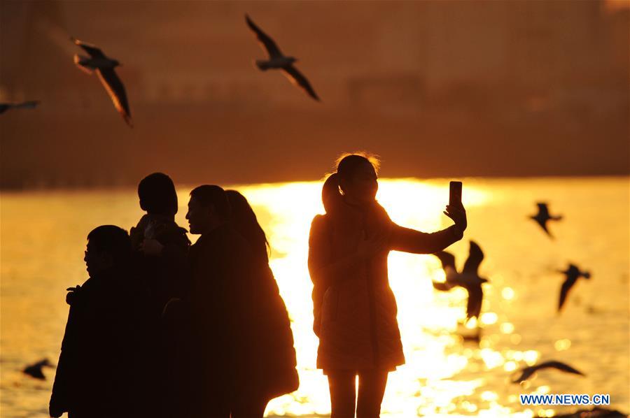 #CHINA-SHANDONG-QINGDAO-SEAGULLS (CN)