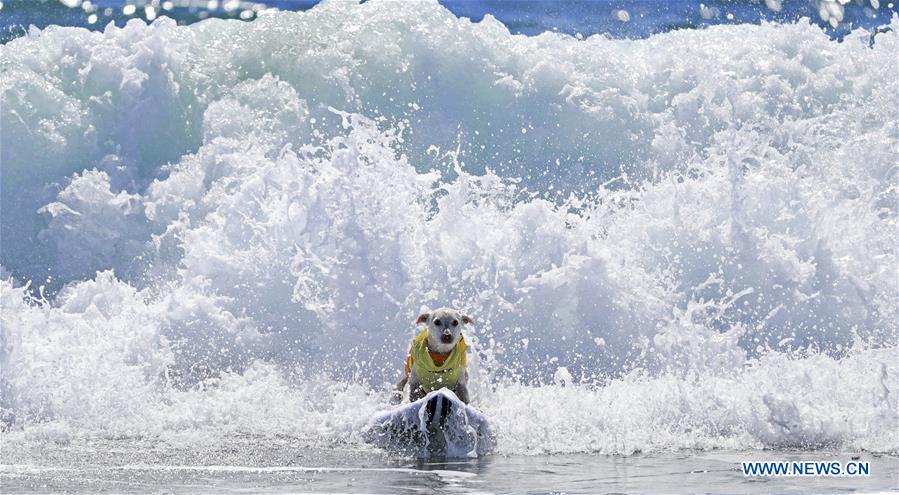 (SP)XINHUA-PICTURES OF THE YEAR 2018-SPORT