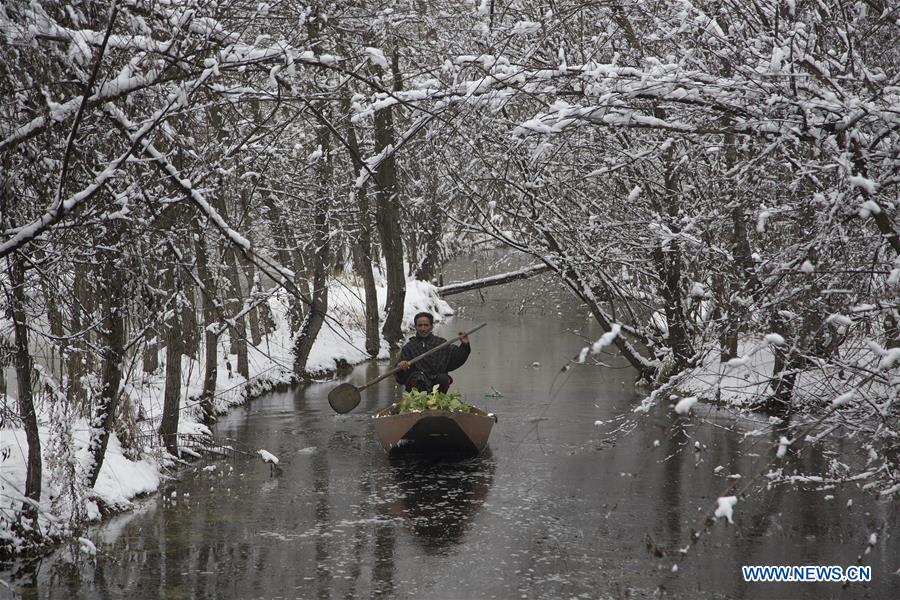 KASHMIR-SRINAGAR-SNOWFALL