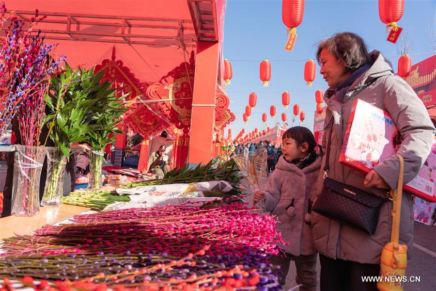 #CHINA-HEBEI-NEW YEAR-MARKET (CN)