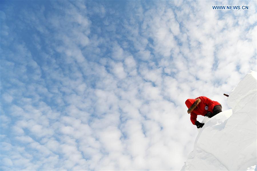 CHINA-HEILONGJIANG-HARBIN-SNOW SCULPTURE COMPETITION (CN)