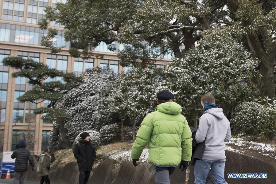 JAPAN-TOKYO-SNOW