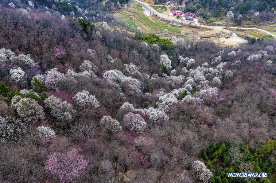 XINHUA PHOTOS OF THE DAY