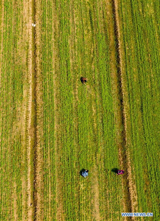 #CHINA-SPRING-FARMING (CN)