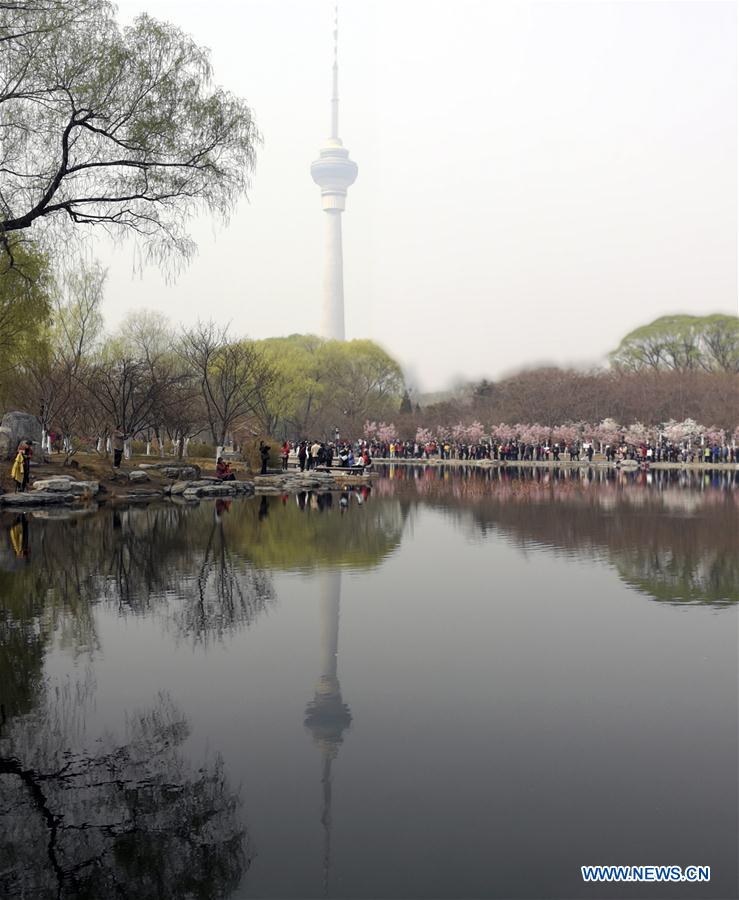 (Beijingcandid)CHINA-BEIJING-SPRING (CN)