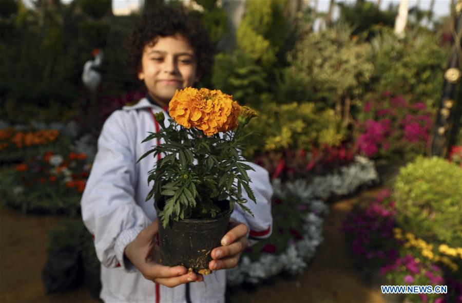 EGYPT-GIZA-FLOWER EXHIBITION