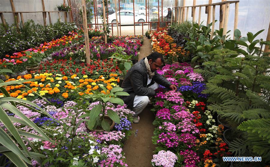 AFGHANISTAN-KABUL-FLOWER SHOP