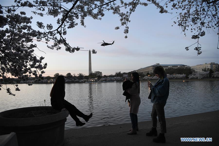 U.S.-WASHINGTON D.C.-CHERRY BLOSSOM