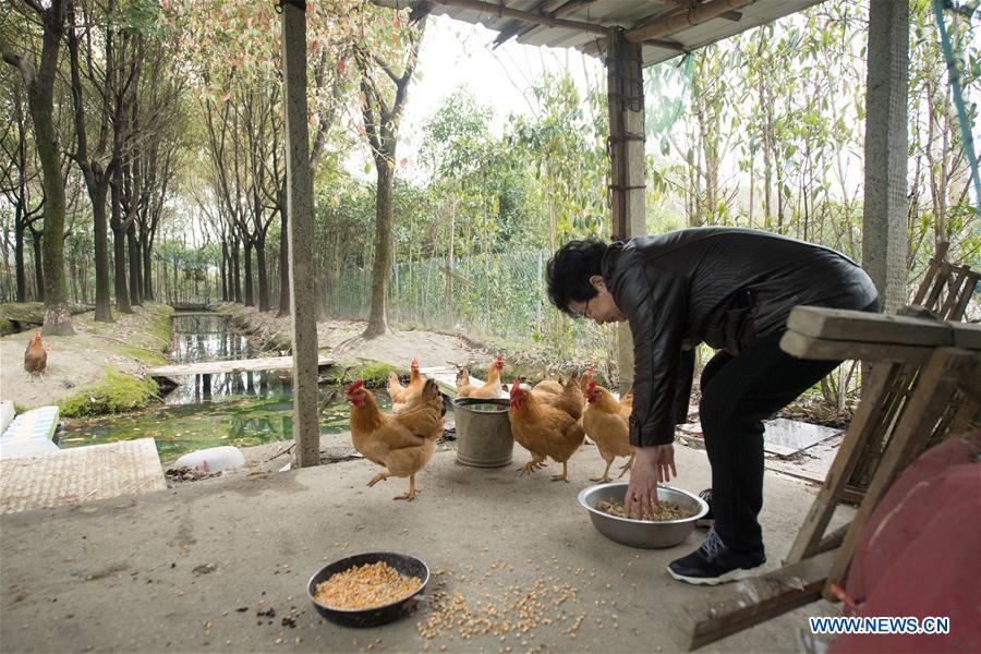 CHINA-ZHEJIANG-ELDERLY LIFE (CN)